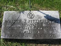 Fitzmaurice, Walter J